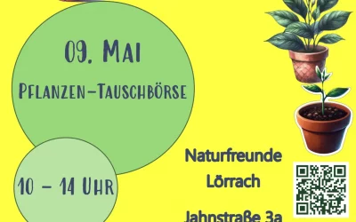 9. Mai 2026 Pflanzen-Tauschbörse und Flohmarkt – ein Event für Alle!